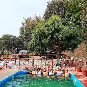 Forest Bliss Resort